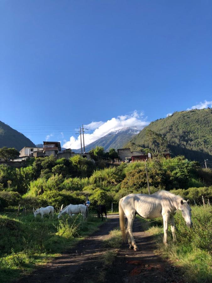 Premium Holiday Cabin - Spectacular Tungurahua Volcano View Baños Exteriér fotografie